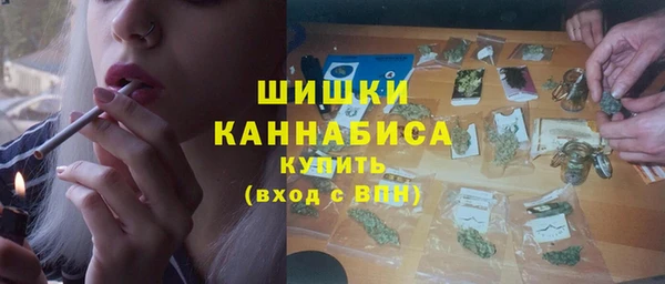 хмурый Аркадак