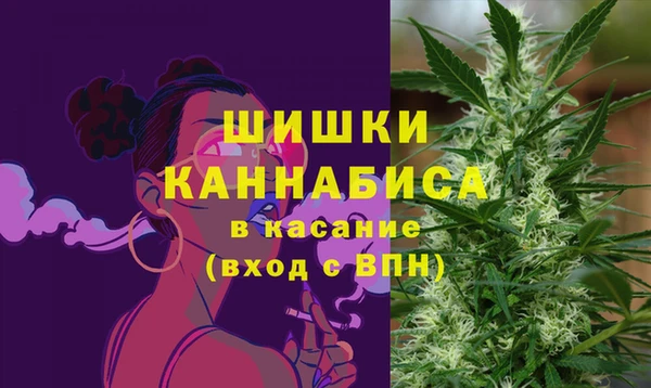 хмурый Аркадак