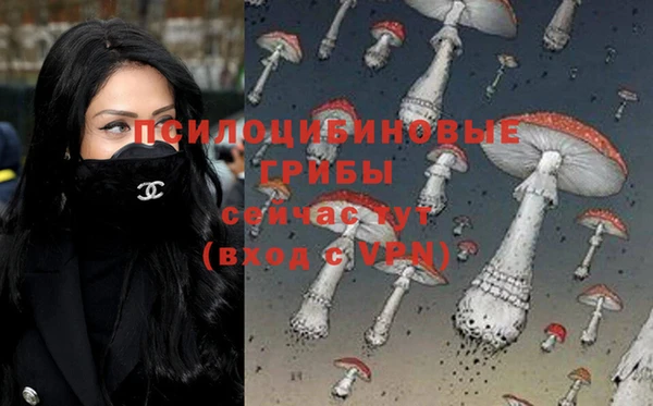 сатива Арсеньев