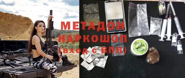 хмурый Аркадак