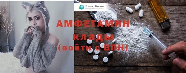 хмурый Аркадак