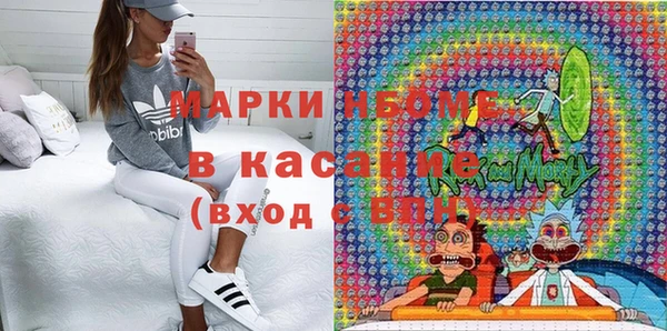 хмурый Аркадак