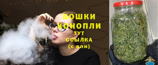 сатива Арсеньев